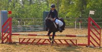 STAGES D'EQUITATION - INSRIPTION LICENCE ADHESION